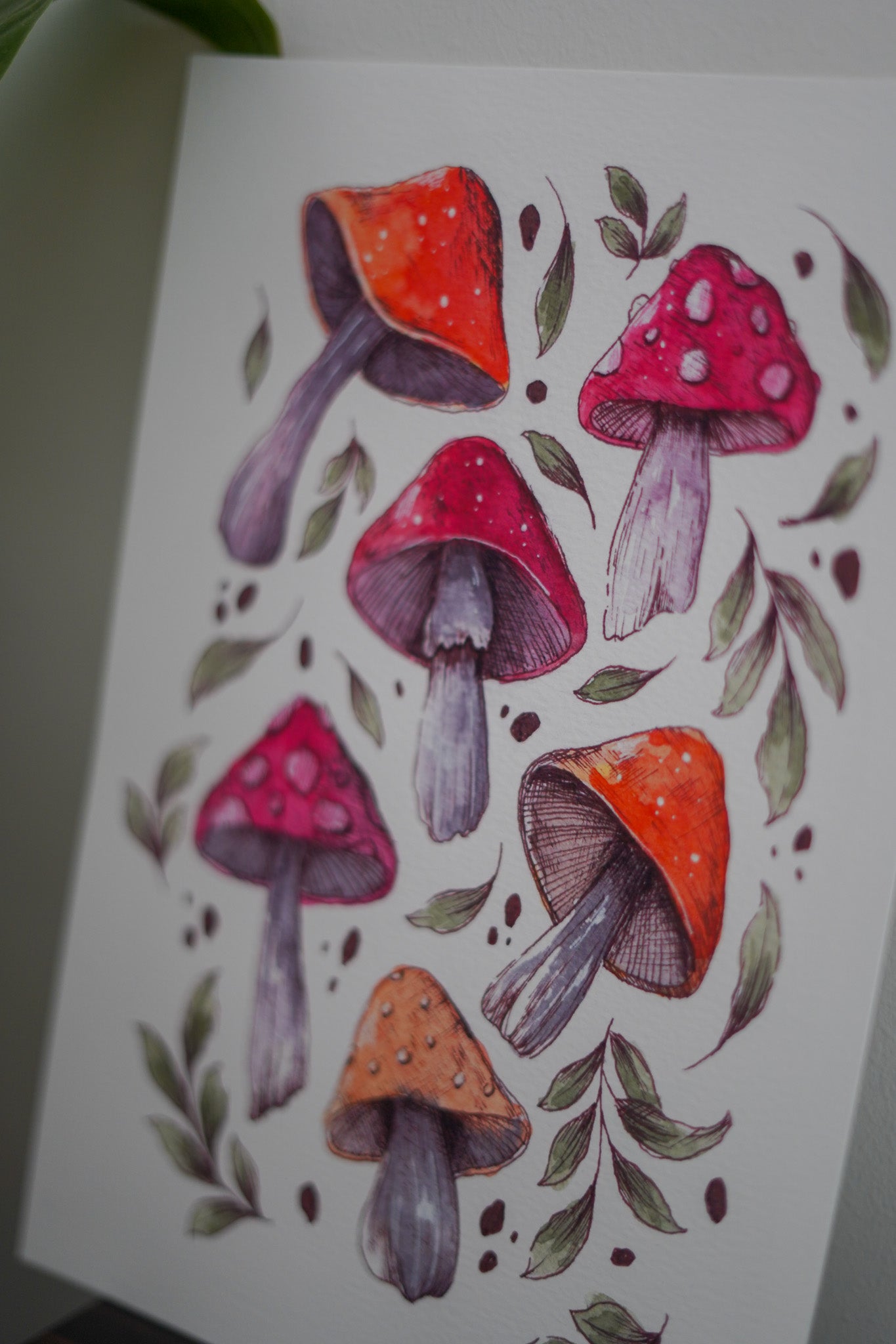 Affiches - Les champignons