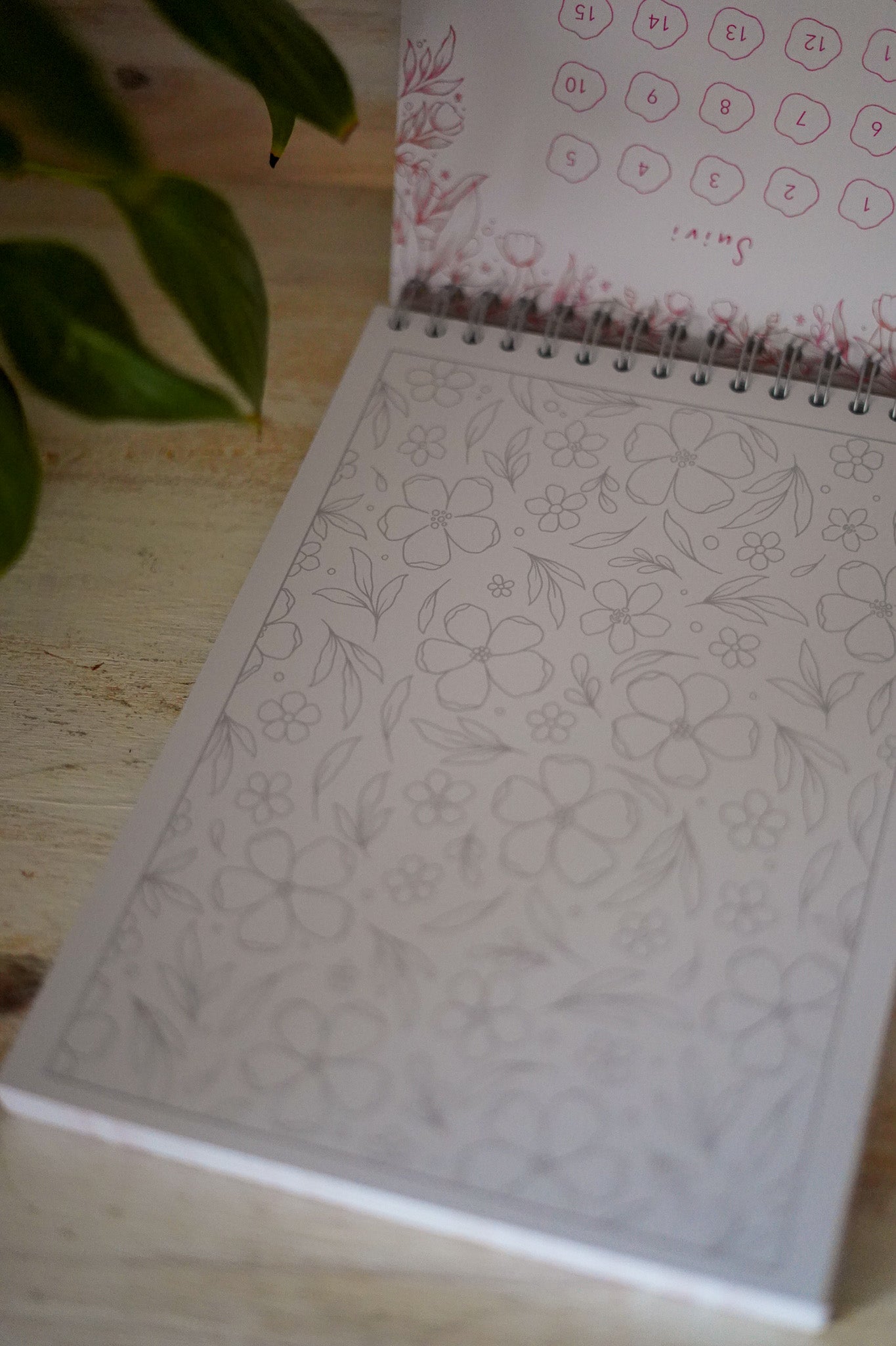 Carnet de Coloriage - Les Fleurs