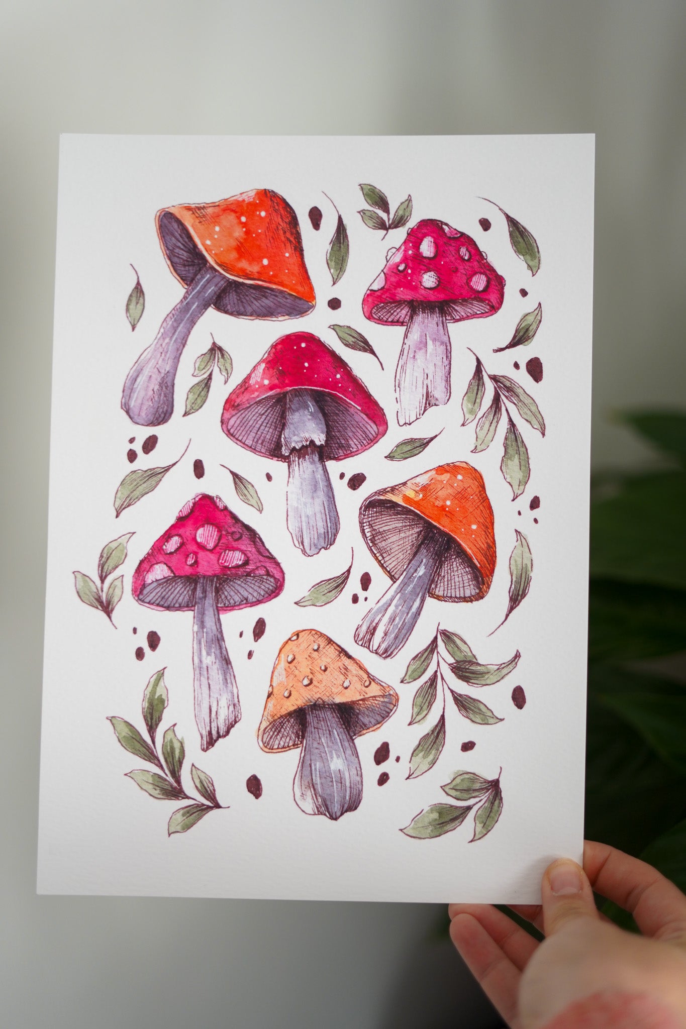 Affiches - Les champignons