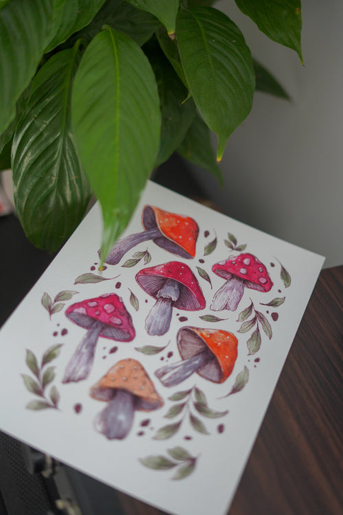 Affiches - Les champignons